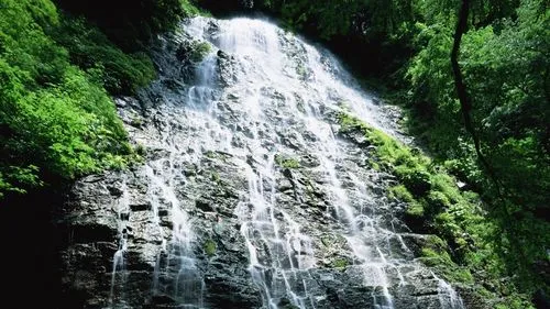高精度独特